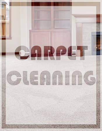 Carpet Cleaning Kingwood Near me