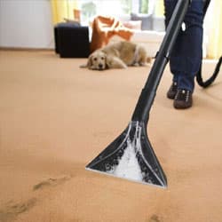 carpet cleaning kingwood