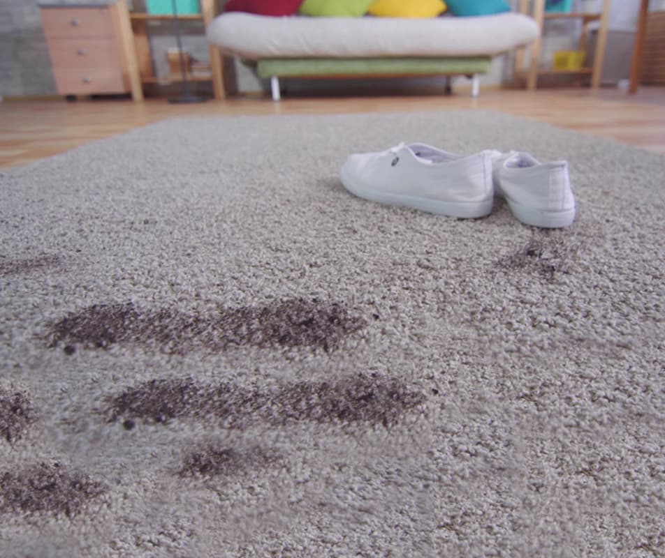 Carpet stain removel kingwood