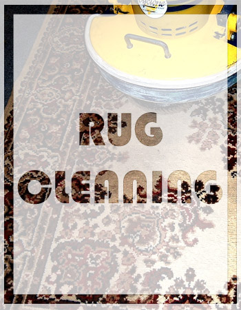 professional rug cleaning kingwood