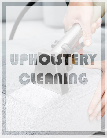 upholstery cleaning kingwood